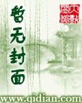 七人传奇装备推荐