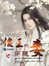 傻王爷穿越